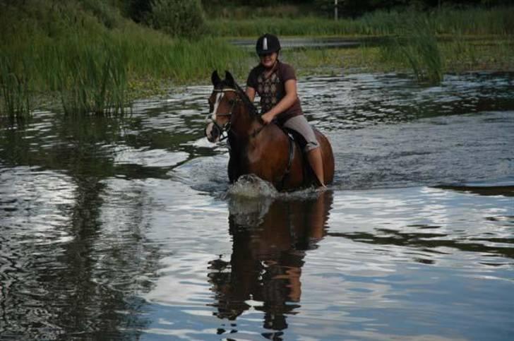 Anden særlig race Shaggy - Bade dag med Amira, Iben og jeg ;) FOTO: MCL foto tak :) billede 15