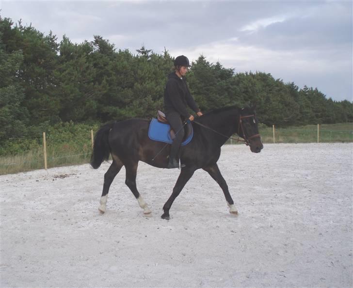 Anden særlig race Hottentott<3 - WOW HAN ER LÆKKER! billede 1