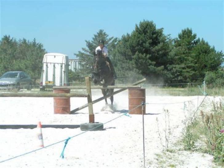 Anden særlig race Hottentott<3 - Spring! billede 9