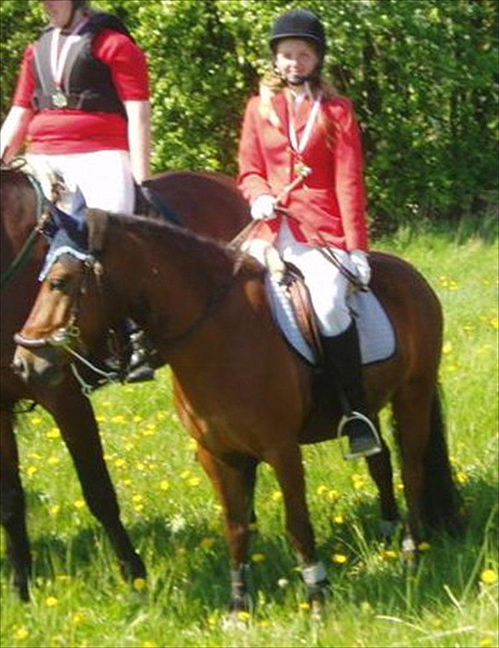 Pinto Dimitri   - Pony-master til Forårsjagten i Ledøje, Maj 2007 billede 9