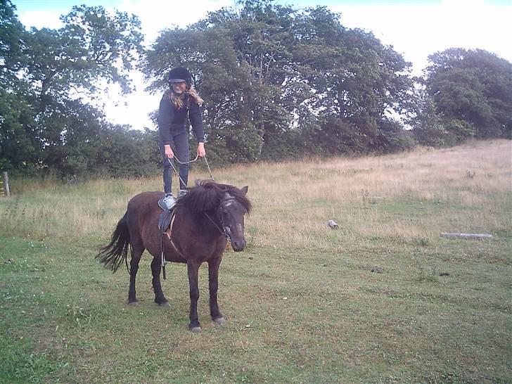 Anden særlig race Maj †*DØD* *R.I.P*† - Vi kunne også galloppere mens jeg står på hende billede 2