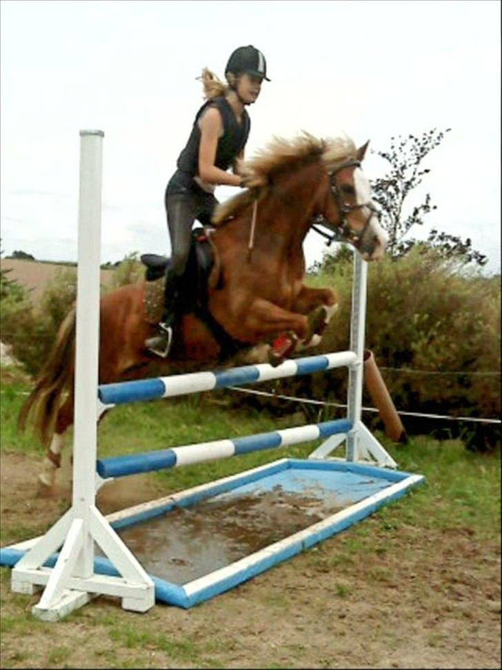 Anden særlig race Malou l MIT ALT l - Mig og Malou over vandgraven herhjemme 80 cm :-). billede 5