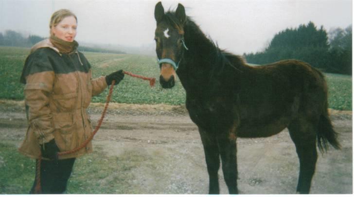 Dansk Varmblod Lillemand(Leander Divine) - Vinteren ´02 en stor baby billede 18