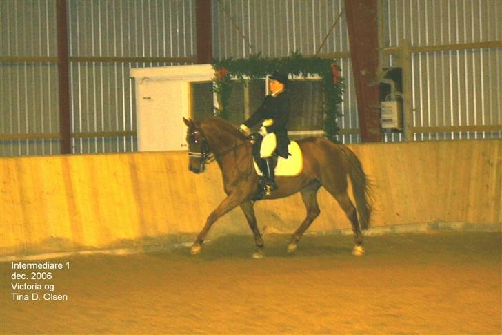 Anden særlig race victoria - c stævne billede 4