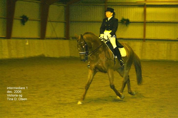 Anden særlig race victoria - c stævne billede 5