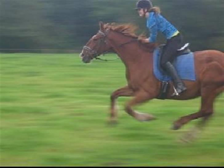 Frederiksborg <3 Skovbækkens Lexi <3 billede 20