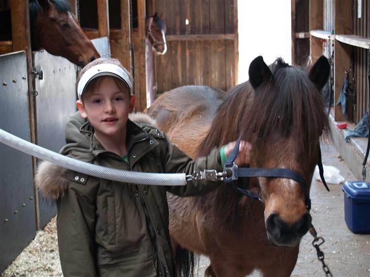 Anden særlig race Dipsi *på pansion* - Det er min fætter der stor ved siden af Dipsi  billede 7