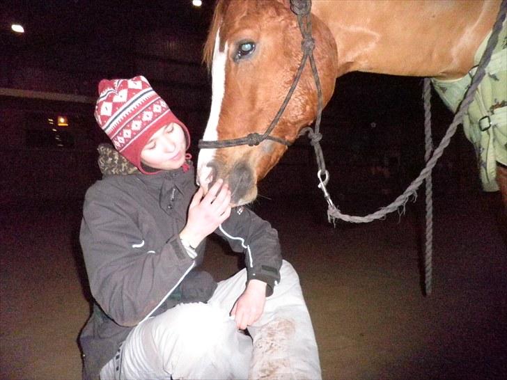 Welsh Pony (sec B) Ksarinor "Musse-tussen!" billede 3