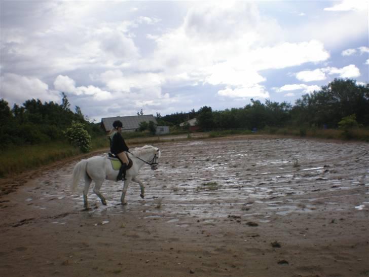 Anden særlig race Kvik <3 Gl. part  - dressur  :)   [ fotograf: ANITA :p<3  ] billede 6