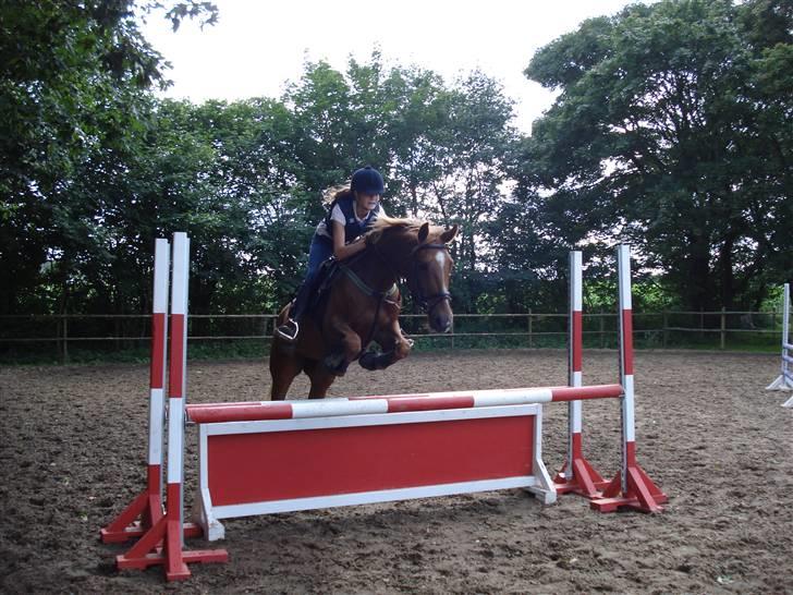 Appaloosa S. van de lorkeershoeve - Lærke rider Sequoia billede 9