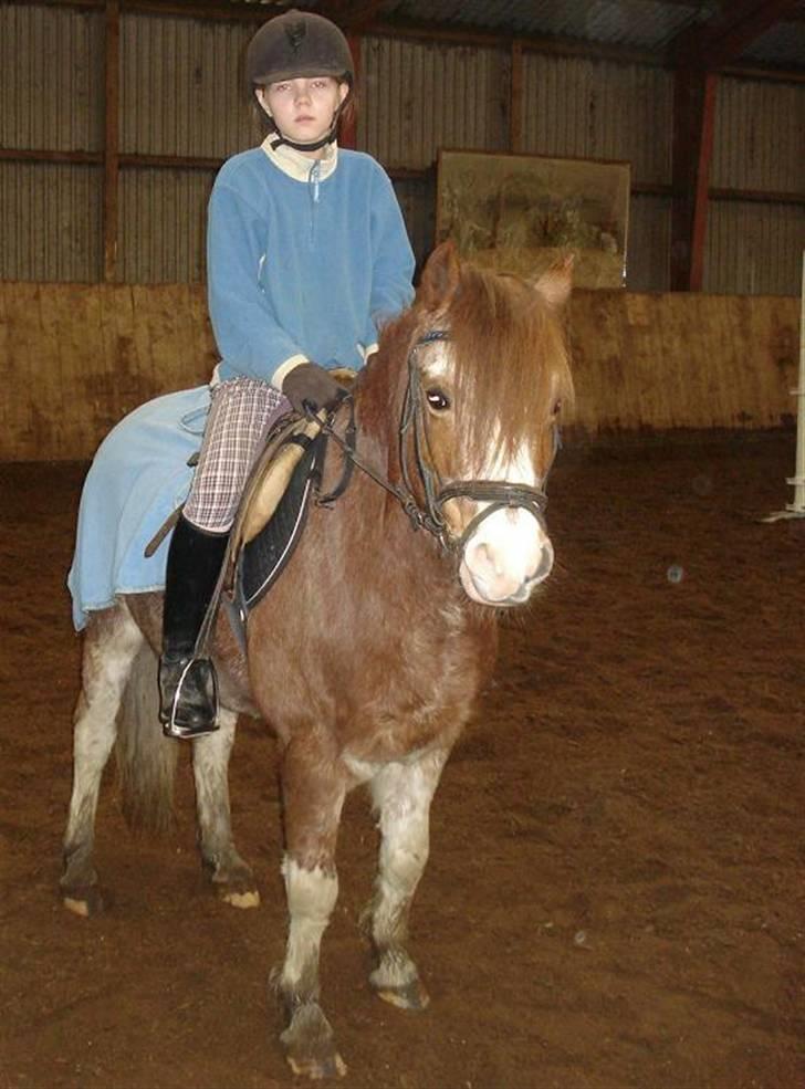 Welsh Mountain (sec A) Tim <3 Gl. part - Mig og Tim ;D ! (L) Ihh ... Han er da skøn :D <33 Ps. Det var til Pony-Games billede 6