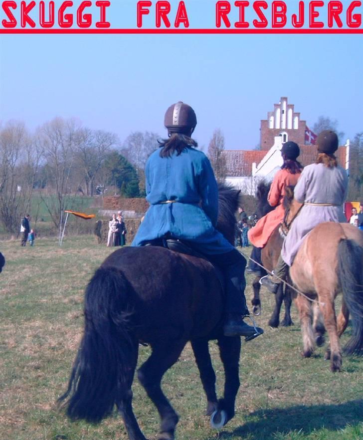 Islænder Skuggi fra risbjerg - anja der rider på skuggi billede 12