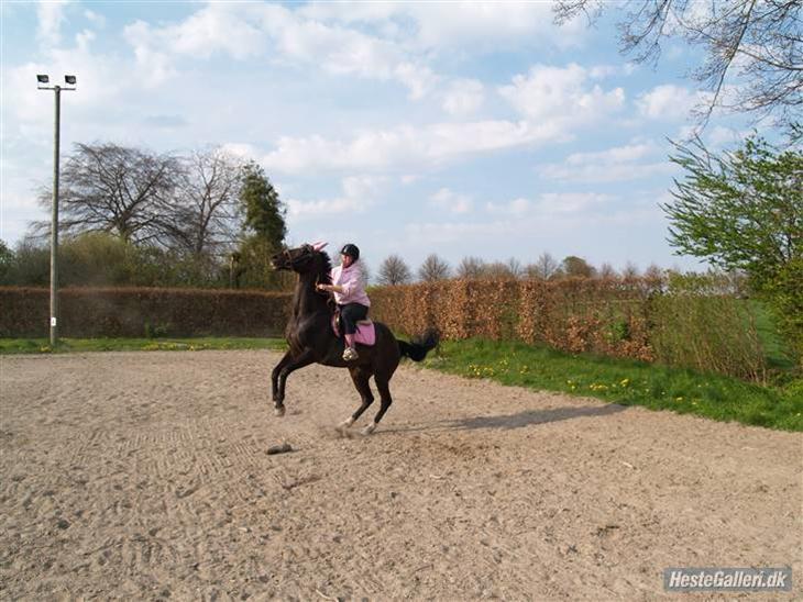 {{currentPhoto.altText}} billede {{currentPhoto.number}}