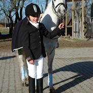 Anden særlig race Admiral(solgt)