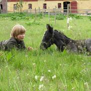Knabstrupper Bendroffs Freja
