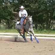 Appaloosa He is My Happiness(Happy)