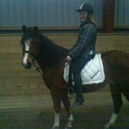 Sportsaraber (A) Socken