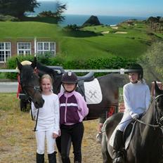 New Forest Beauty *R.I.P* [æslet]