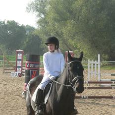 New Forest Beauty *R.I.P* [æslet]