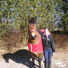 Anden særlig race luffi