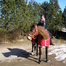 Anden særlig race luffi