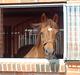 Arabisk fuldblod (OX) El Sheik Charme