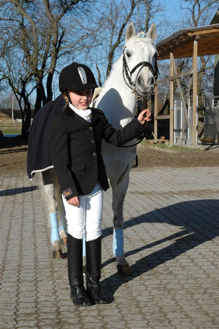 Anden særlig race Admiral(solgt) - Vores første dressur stævne sammen :-) billede 3