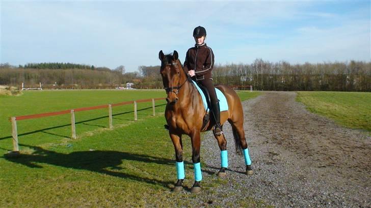 Dansk Varmblod Gørklindtgårds Flash [Tidliger hest] - ude i det dejlige vejr :) billede 7