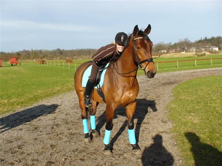 Dansk Varmblod Gørklindtgårds Flash [Tidliger hest] - ude i det dejlige vejr :) billede 9