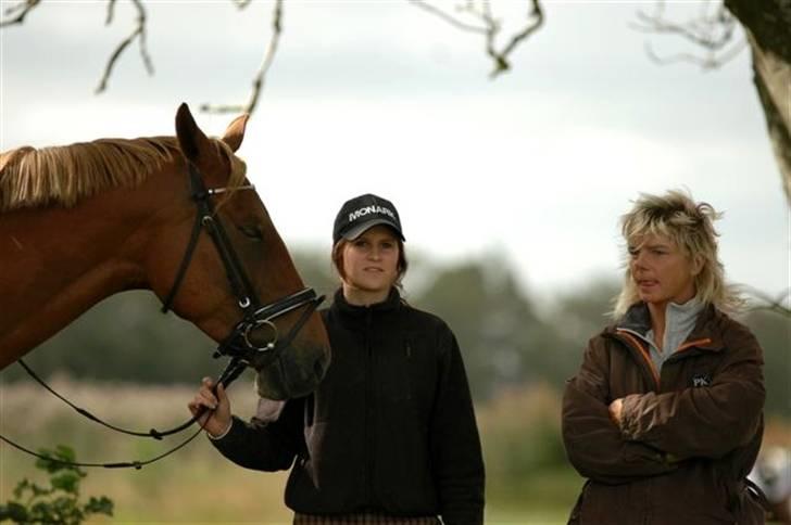 Frederiksborg Kiara - Her er vi til stævne i dronninglund, jeg er inde og gå bane, mens kiara står og hviler sig inden vi skal ind. billede 12