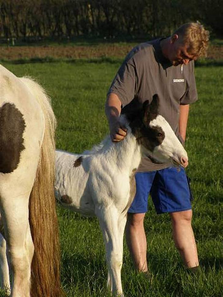 Tinker Ulvebakgaard Iris - Solgt - Iris med Per billede 2