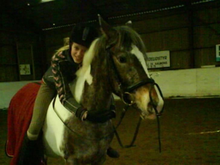 Anden særlig race Silas <3 - en dejlig pony fortjener en dejlig knuser <3 billede 3