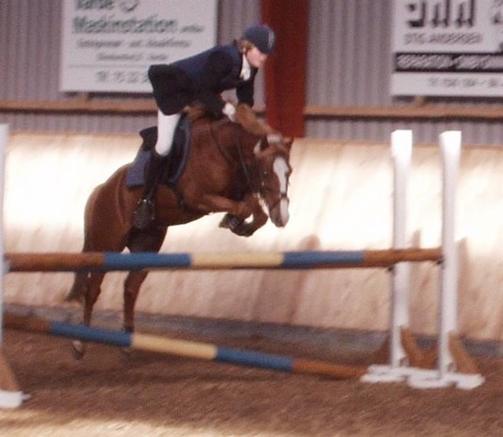 Welsh Pony (sec B) Faxi - Oh yearh , vi seje hvaaa ? xD ... elsker dig skatte´dreng :* billede 2