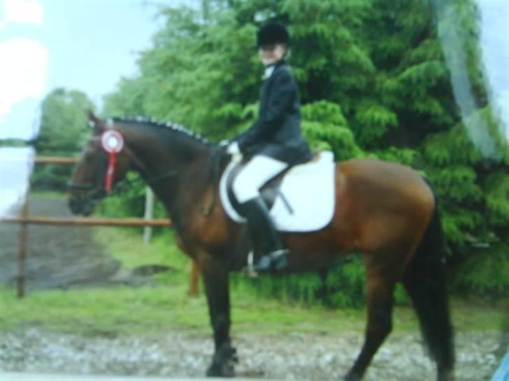 Anden særlig race Dücell - Beklager meget den dårlige kvalitet. Lige kommet ud fra banen men en rød roset. billede 9