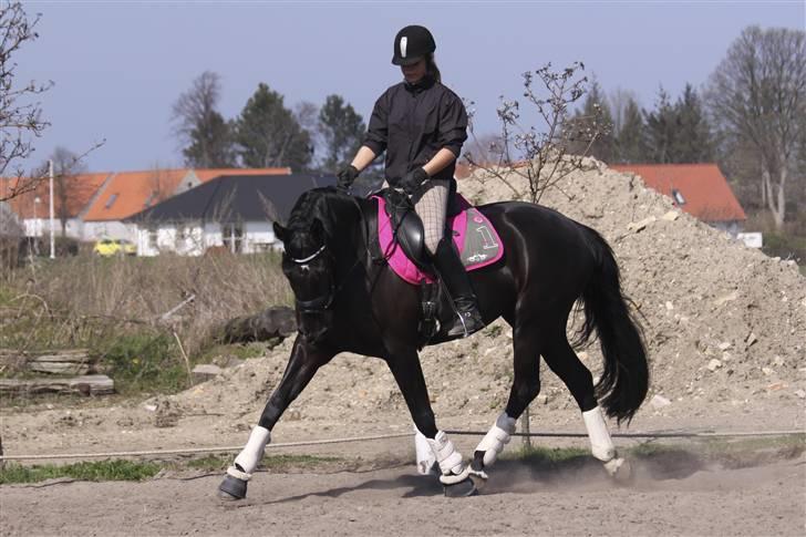Dansk Varmblod Naia R.I.P   08-07-2010 - Mig og min mus <3 billede 4