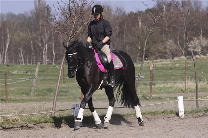 Dansk Varmblod Naia R.I.P   08-07-2010 - Mig og muzsen <3<3 billede 6
