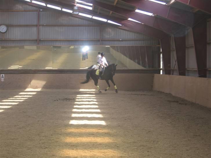 Dansk Varmblod Naia R.I.P   08-07-2010 - I fuld gallop <3<3 billede 7