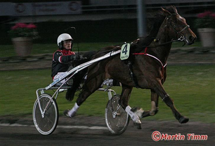 Traver hazel park (d) billede 8