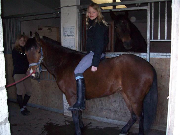 DSP Asprilla solgt billede 10