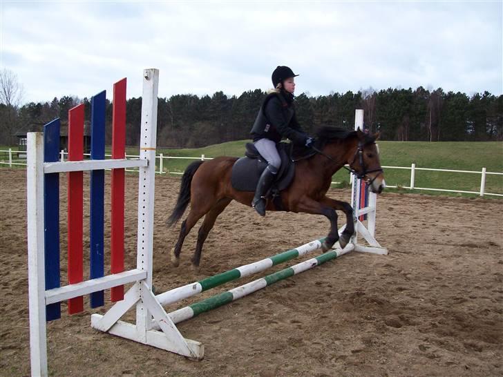 DSP Asprilla solgt billede 11