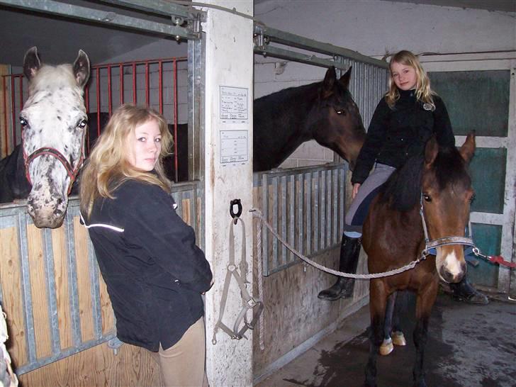 DSP Asprilla solgt billede 12