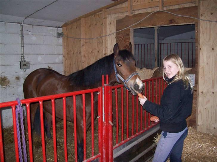 DSP Asprilla solgt billede 13