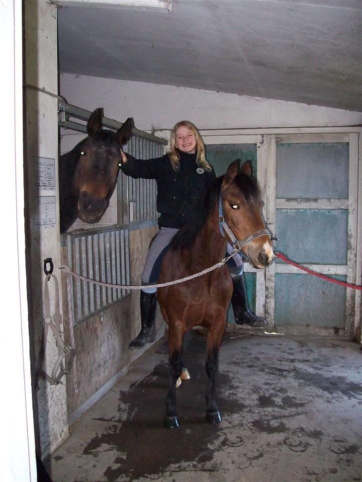 DSP Asprilla solgt billede 15