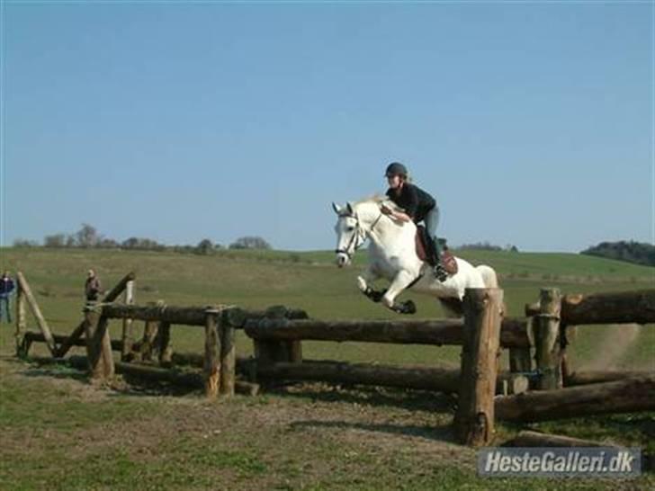 DSP sharon billede 13