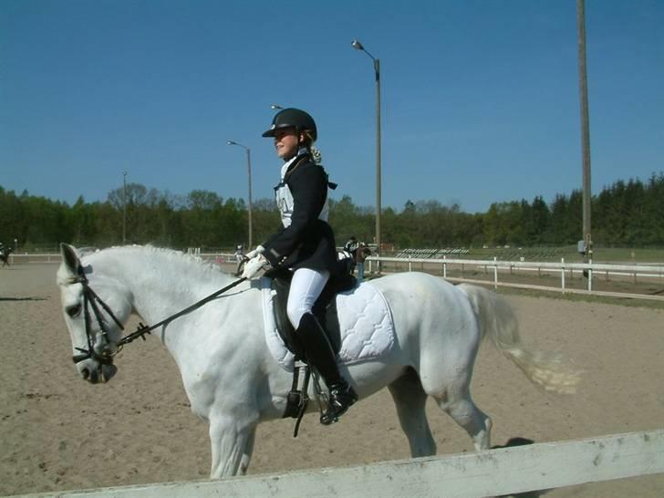 DSP sharon billede 14