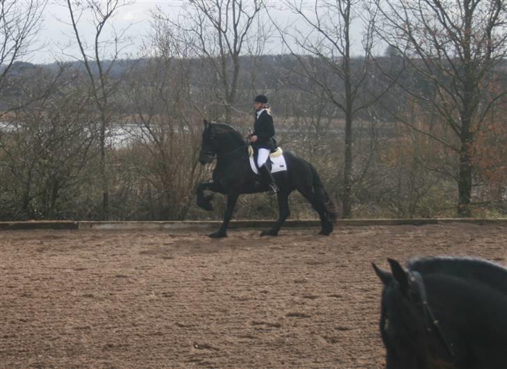 Frieser Dirk Jan K. STER billede 20