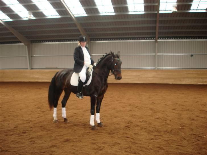 Anden særlig race Cassiopia billede 7