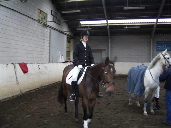 Anden særlig race Jamo - RIP 30/05 - 2011:'( billede 11