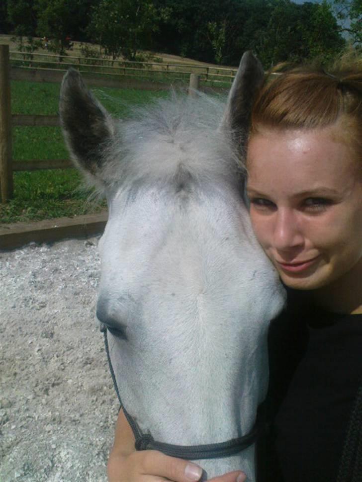New Forest Amber - solgt :( - i love you my baby <3 billede 18