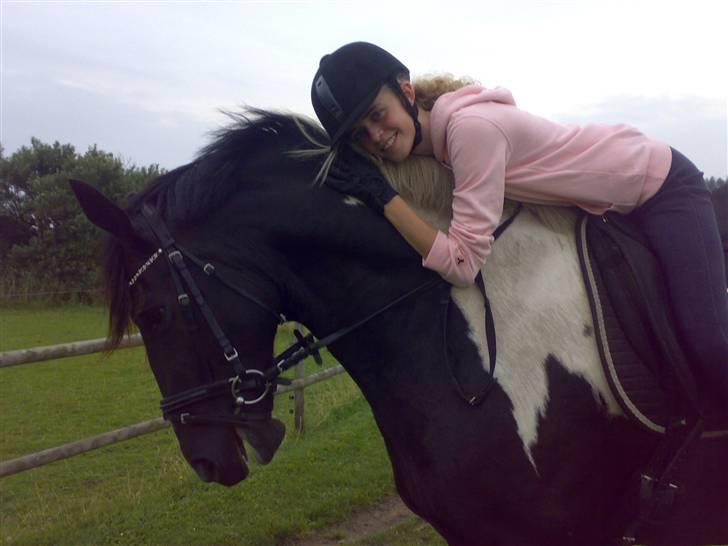 Pinto Armarnie <33 - Fra 2007 billede 16